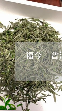 福今 普洱茶/2023042818619